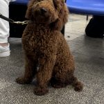IMG_3862