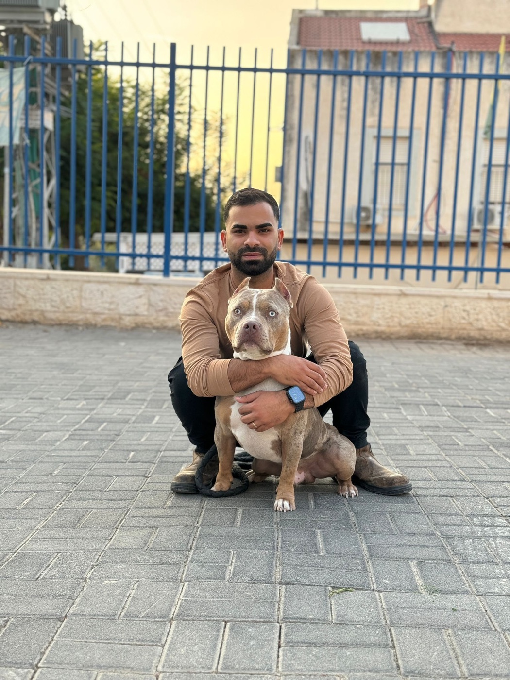 ליאור לוי עם כלב אמריקן בולי