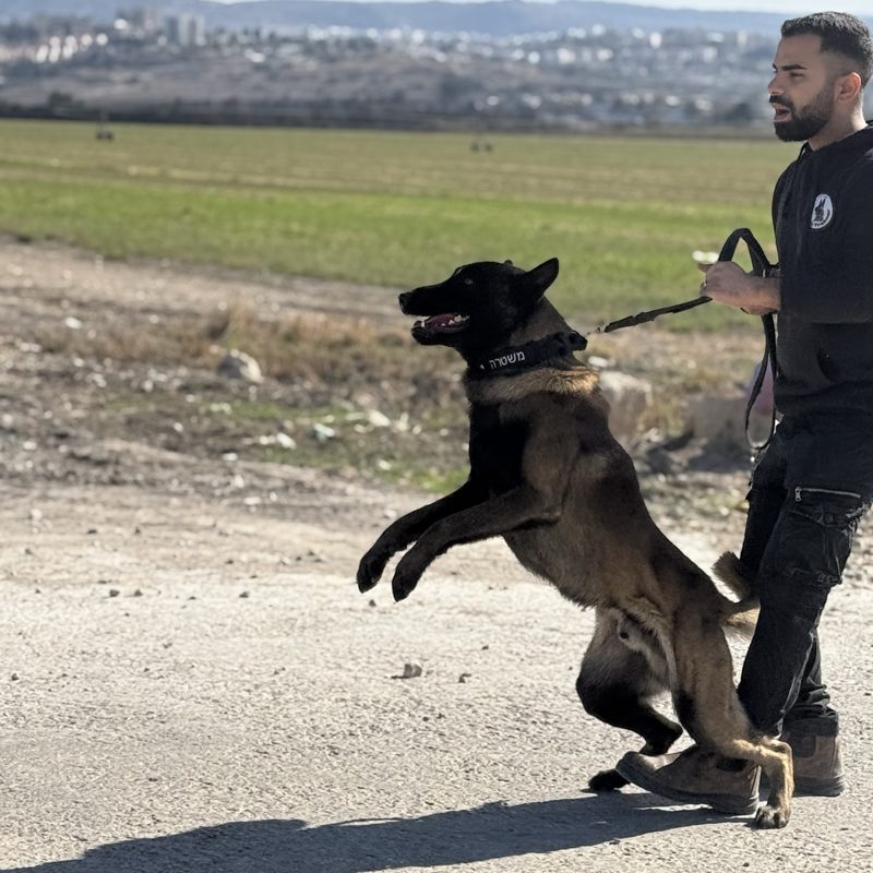 אנרגיות של בוקר - כלב אמיתי שהתארח אצל ליאור לוי